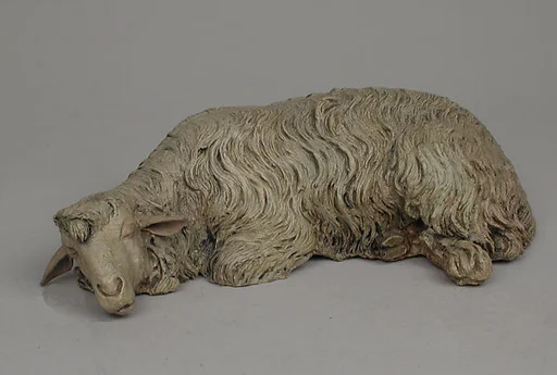 Sleeping sheep