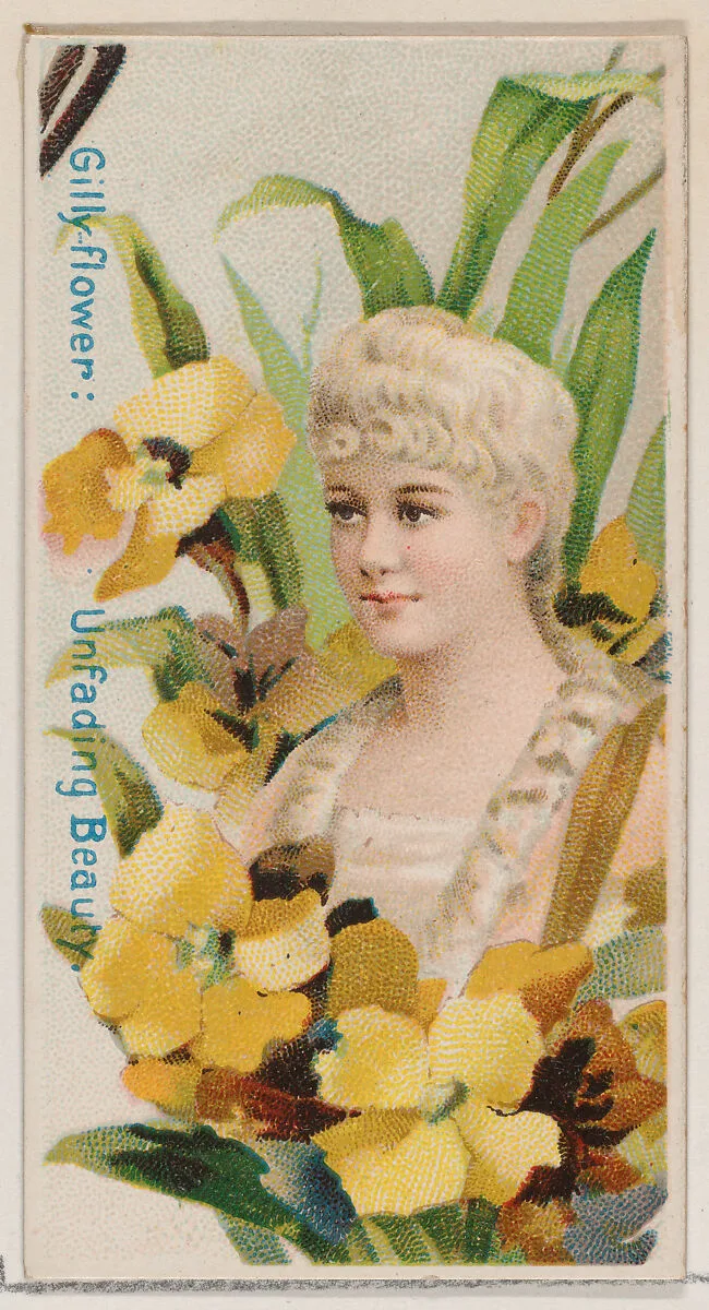 Gilly-flower: Unfading Beauty, from the series Floral Beauties and Language of Flowers (N75) for Duke brand cigarettes — Donaldson Brothers|American Tobacco Company