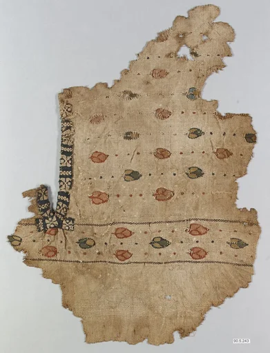 Textile Fragment