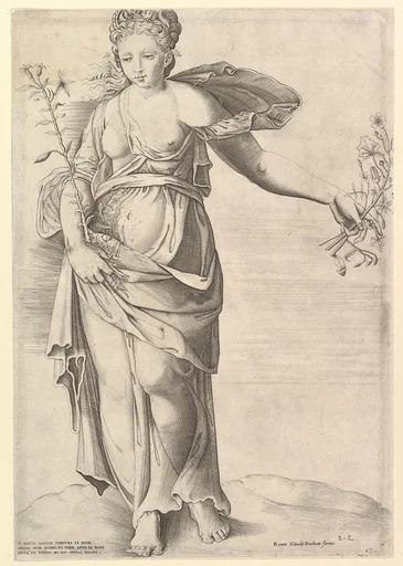 Speculum Romanae Magnificentiae: Flora
