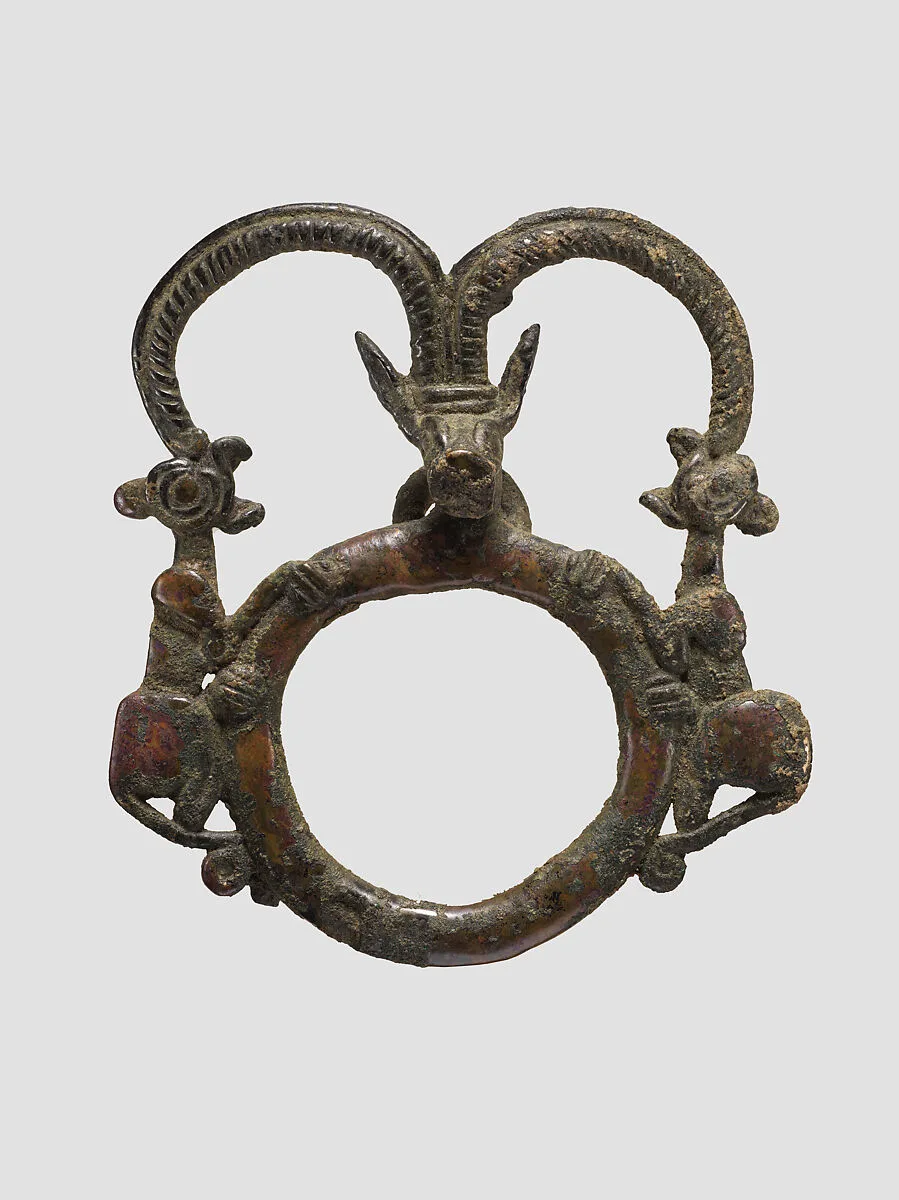 Harness ring — Unknown