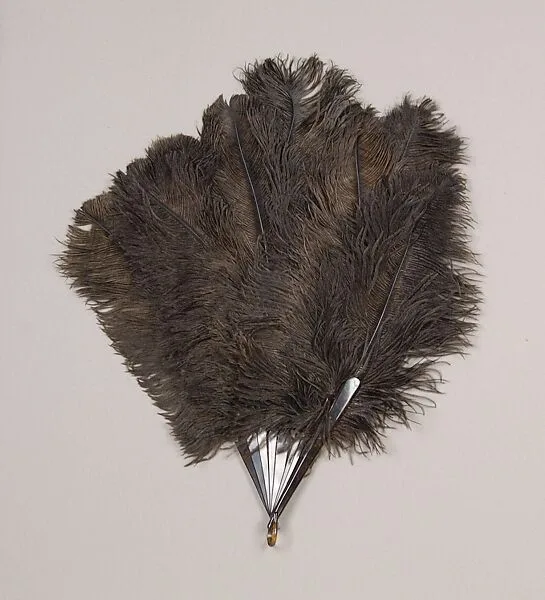 Fan — Unknown