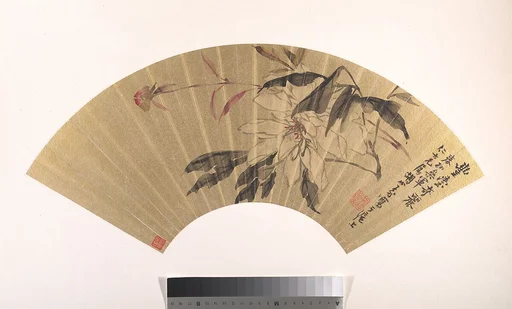 清 胡遠 芍藥 扇面|Herbaceous Peony