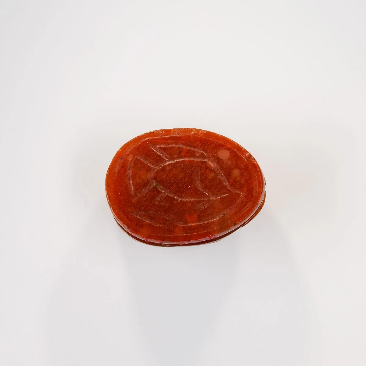 Scarab with Tilapia Fish — Unknown