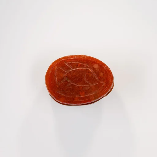 Scarab with Tilapia Fish
