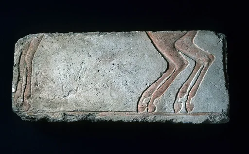 Relief horses' legs