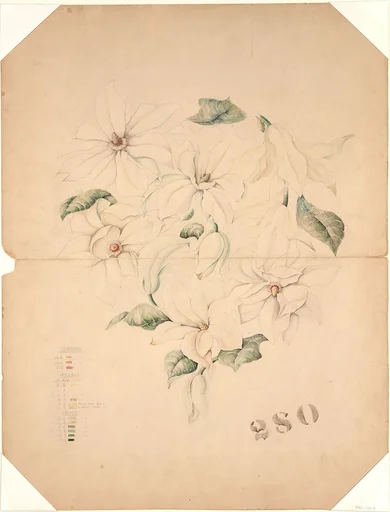 Design Drawing for Magnolia Vase