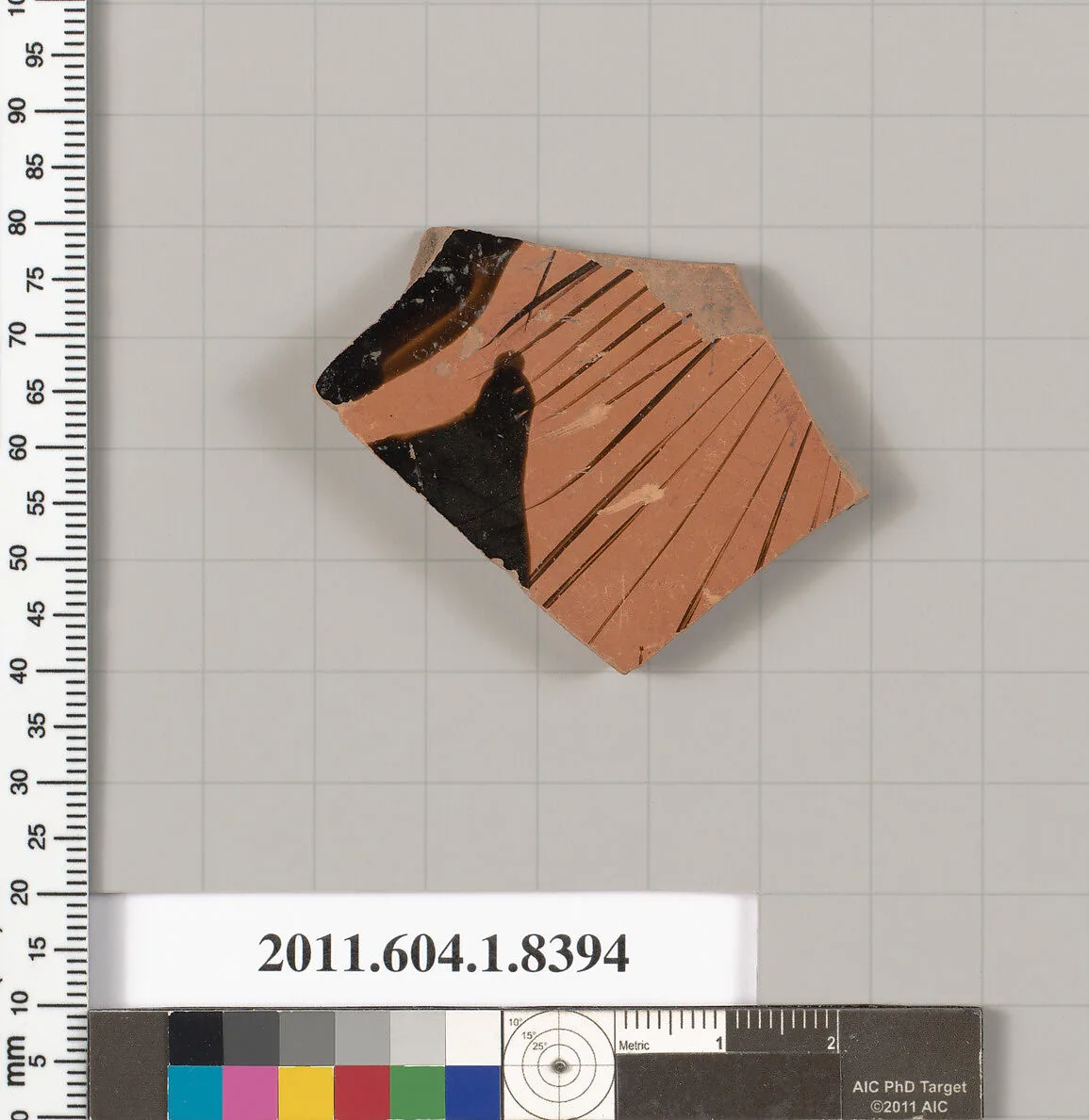 Terracotta fragment of a kylix (drinking cup) — Unknown