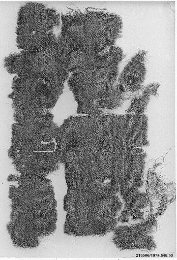 Textile Fragment