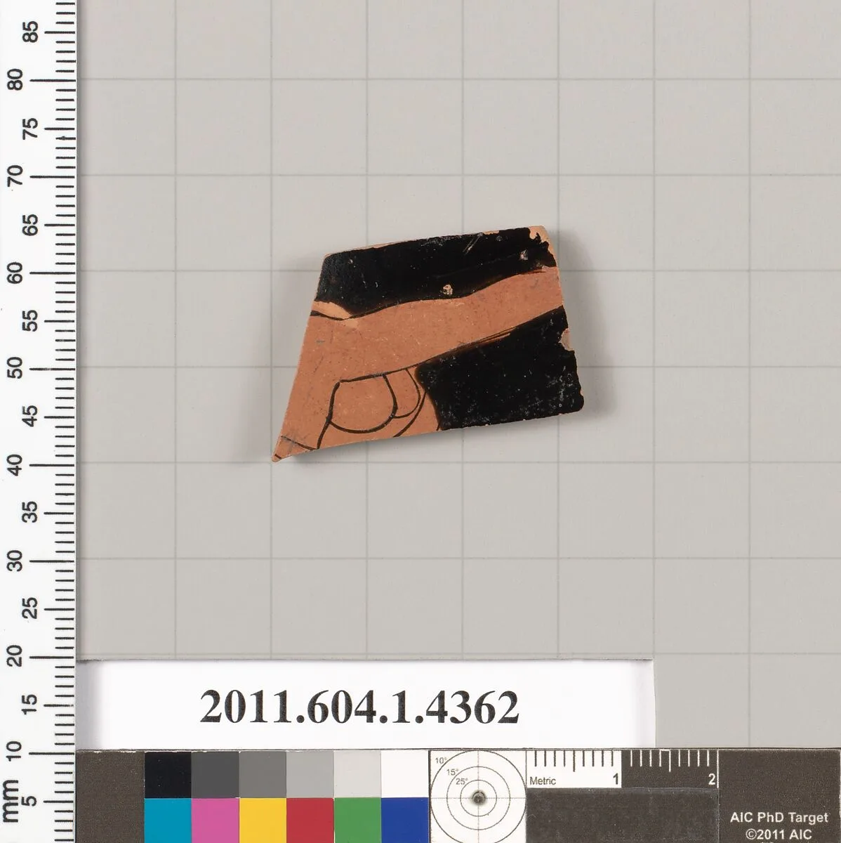 Terracotta fragment of a kylix (drinking cup) — Unknown