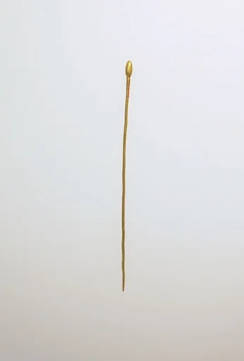 Pin