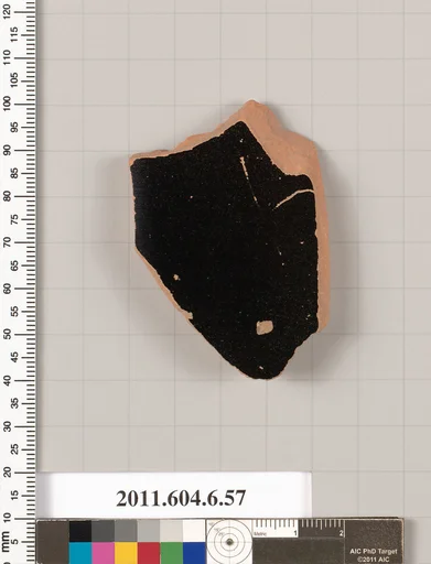 Terracotta fragment of an amphora (jar)?