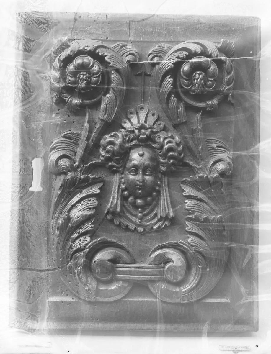 Panel — Unknown