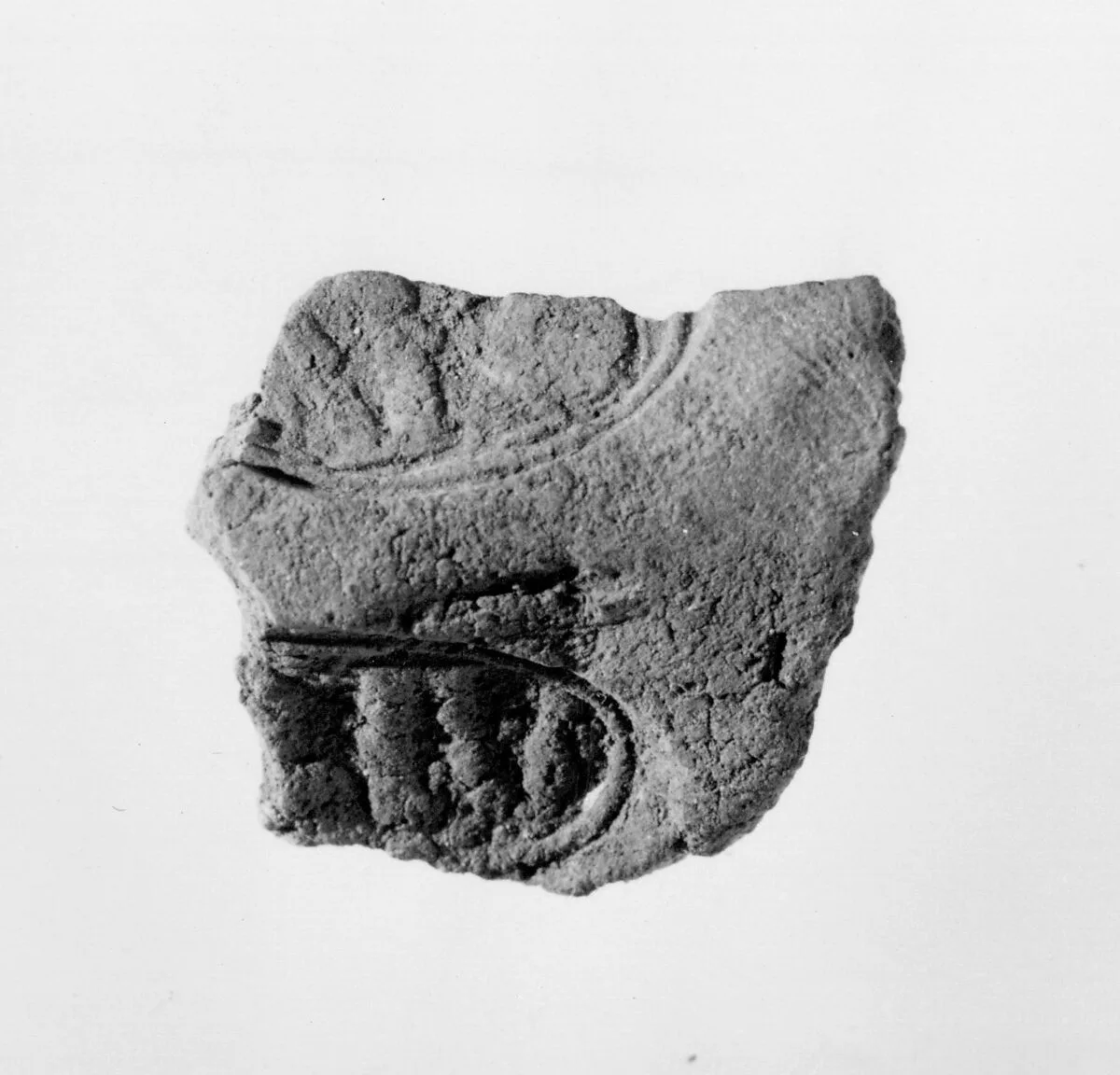 Document Sealing With the Throne Name of Amenhotep III — Unknown