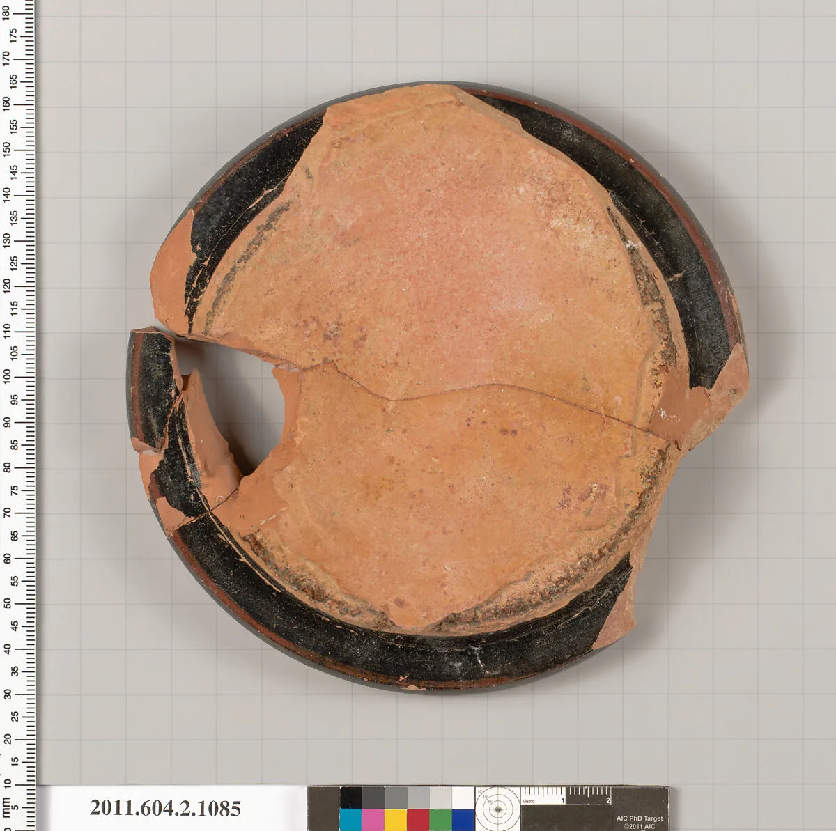 Terracotta fragment of a hydria (water jar) or terracotta fragment of a pelike (jar) — Unknown