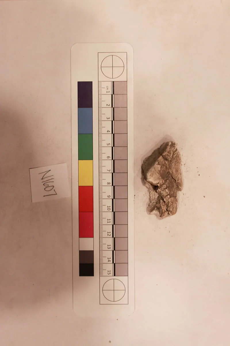 Stucco Fragment — Unknown