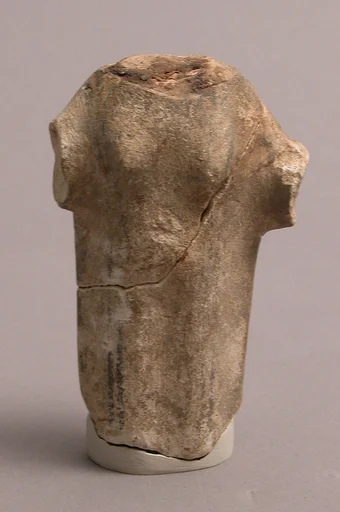 Fragment of a Figure