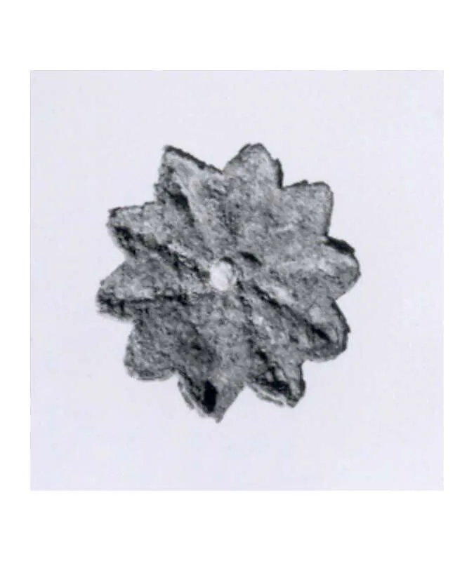 Rosette — Unknown