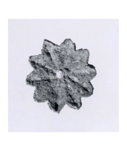 Rosette