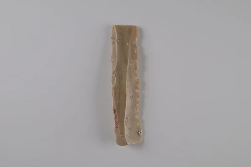 Denticulated Tool