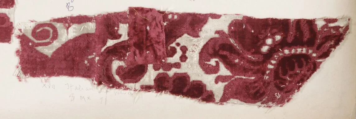 Fragment — Unknown