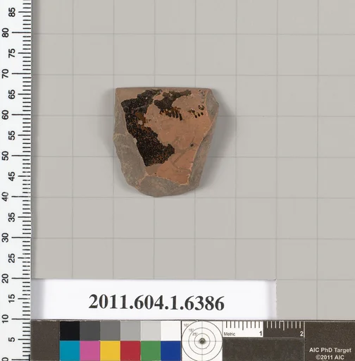 Terracotta rim fragment of a kylix (drinking cup)