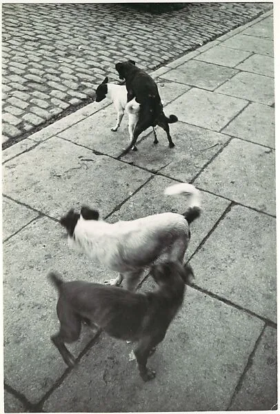 Paris — Henri Cartier-Bresson