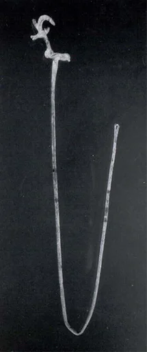 Pin