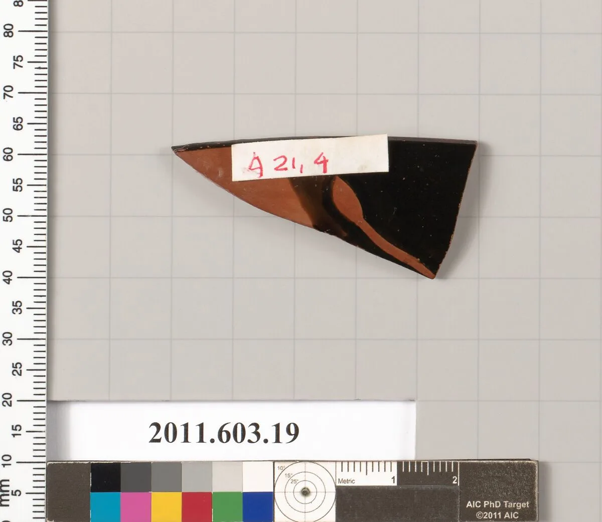 Rim fragment of a terracotta kylix — Unknown