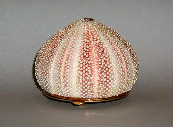 Evening bag — Judith Leiber|Judith Leiber Couture Ltd.