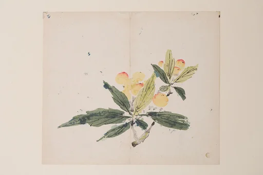 明 胡正言 《十竹齋書畫譜》 四開 木版畫|Page from the Ten Bamboo Studio Manual of Painting and Calligraphy