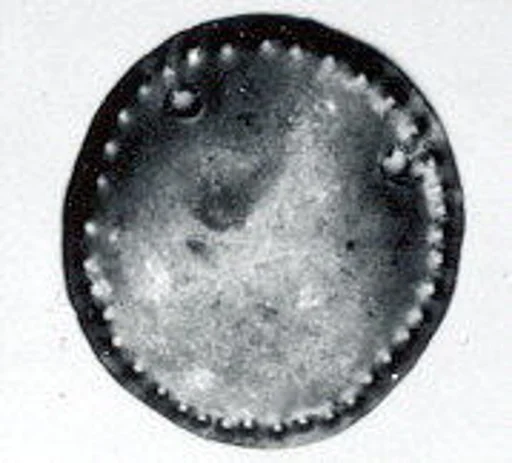 Disk ornament