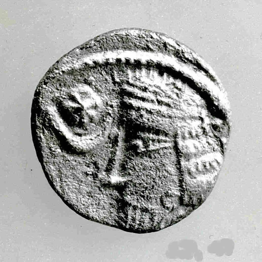 Coin — Unknown