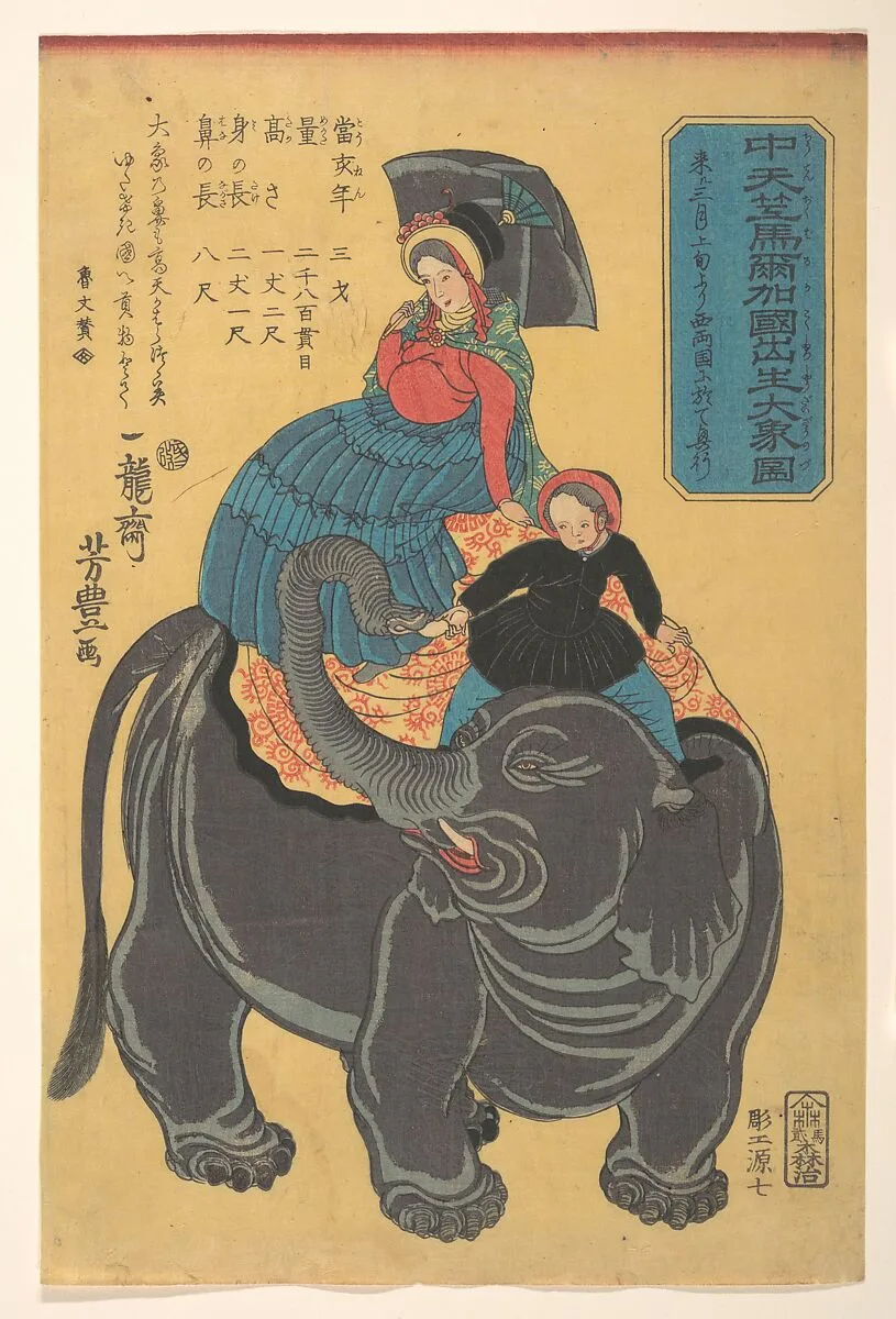 Chū tenjiku Maruka koku shūsshō daizō zu|Picture of an Elephant Born in Maruka in Central India — Ichiryūsai Yoshitoyo