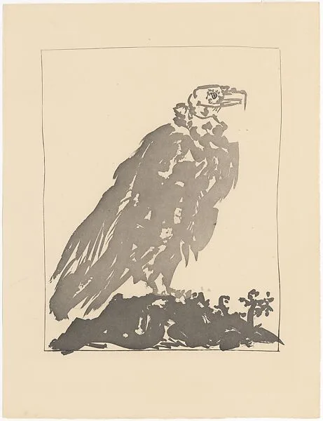 Vulture, from ¦Picasso: Original Etchings for the Texts of Buffon¦ — Pablo Picasso|Martin Fabiani, Paris|Roger Lacourière