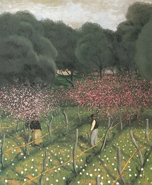 Flowering Peach Trees, Provence — Félix Vallotton