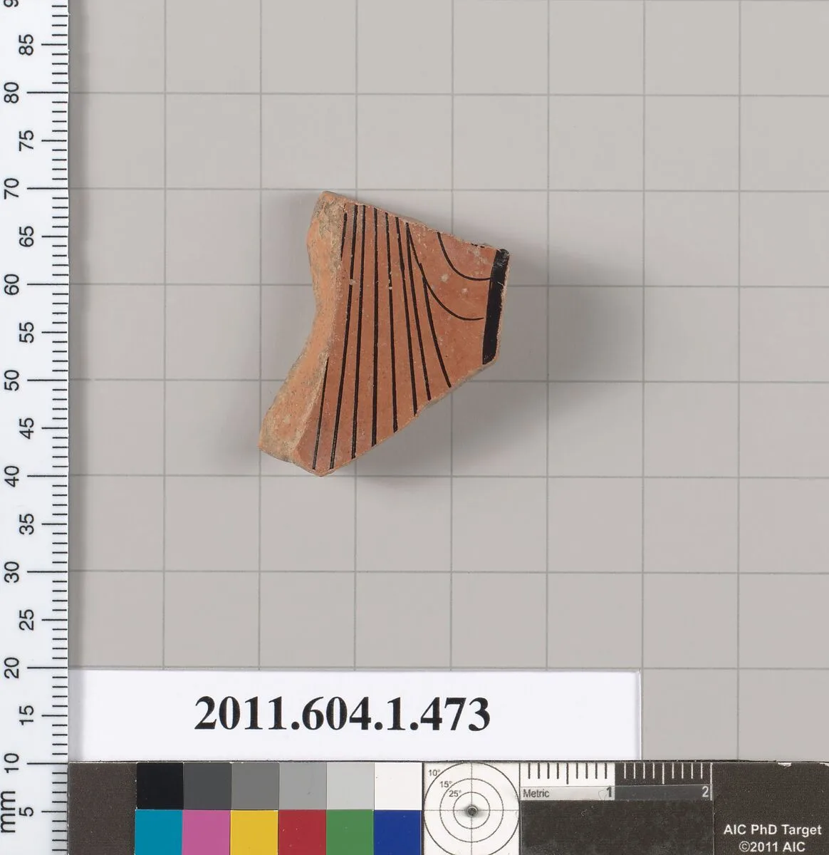 Terracotta fragment of a kylix (drinking cup) — Unknown
