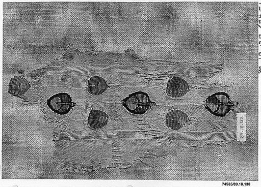 Textile Fragment