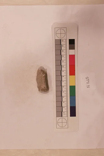 Stucco Fragment