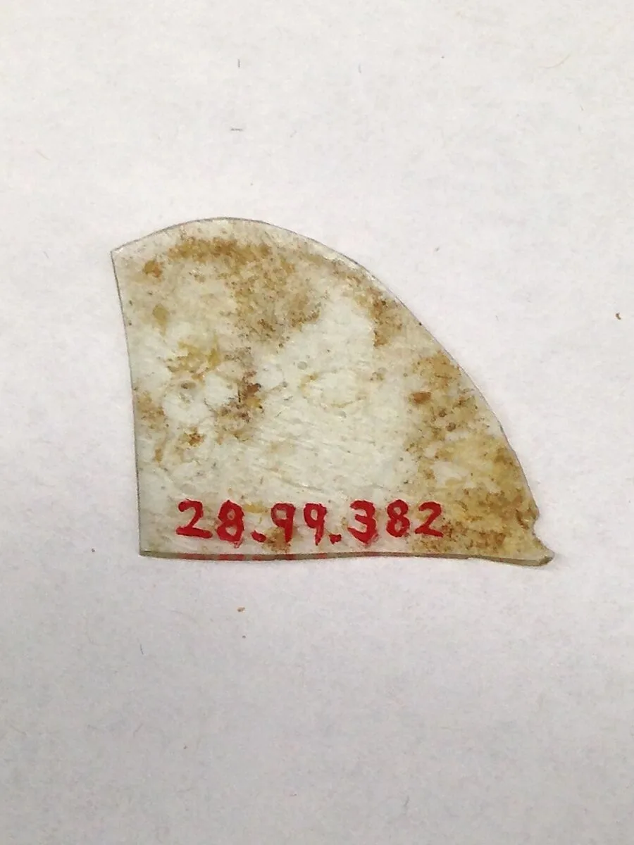 Fragment — Unknown
