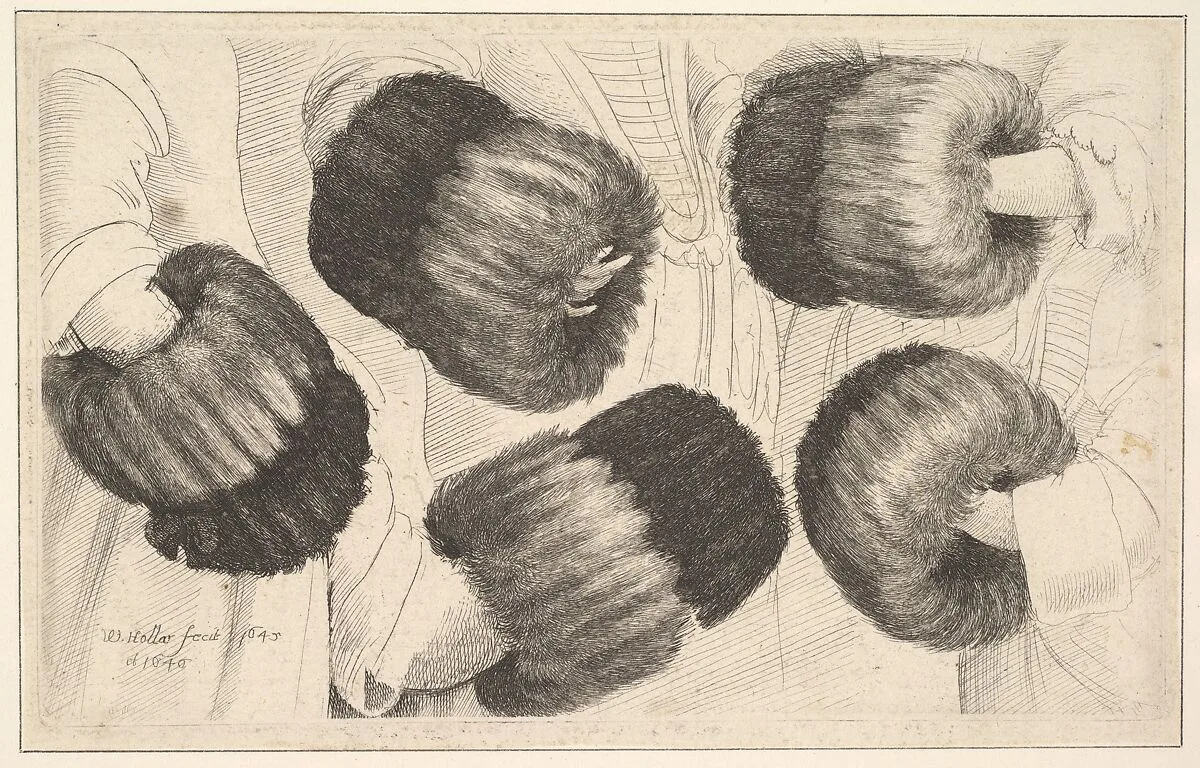 A Muff in Five Views — Wenceslaus Hollar