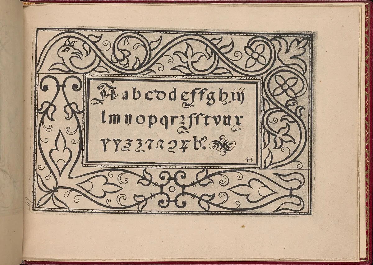 Ghirlanda: Di sei vaghi fiori scielti da piu famosi Giardini d'Italia, page 49 (recto) — Pietro Paulo Tozzi|Libraria del Giesu