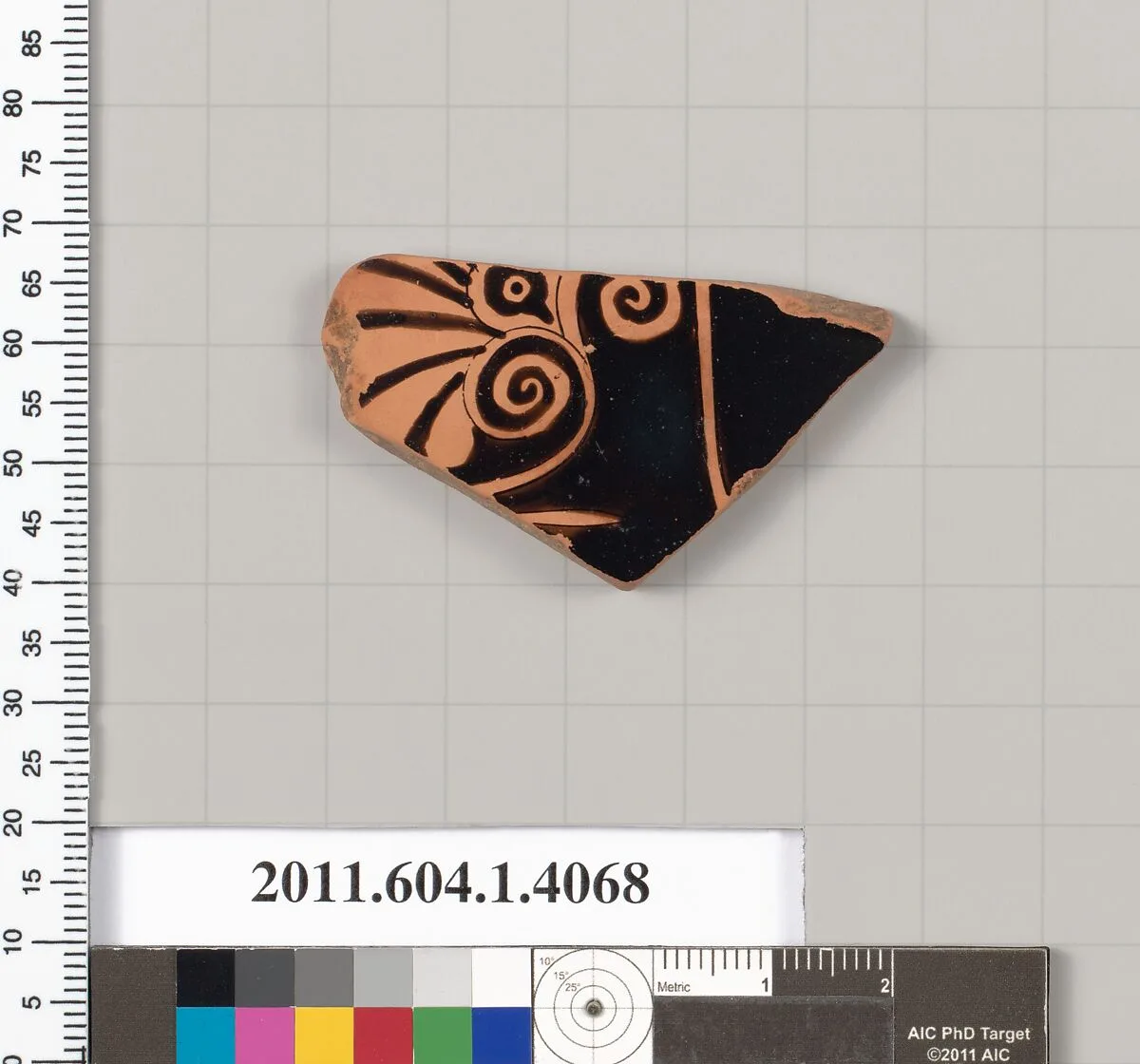 Terracotta fragment of a kylix (drinking cup) — Unknown