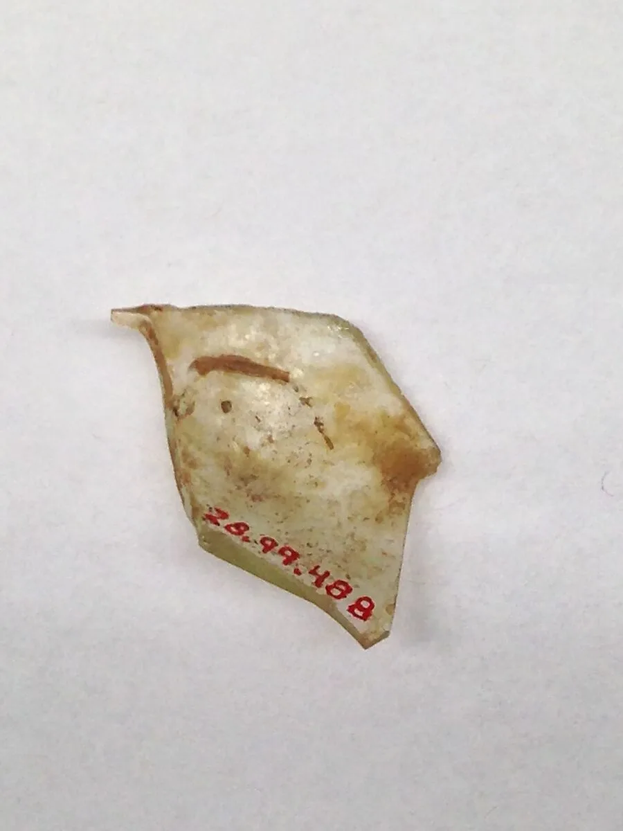 Fragment — Unknown
