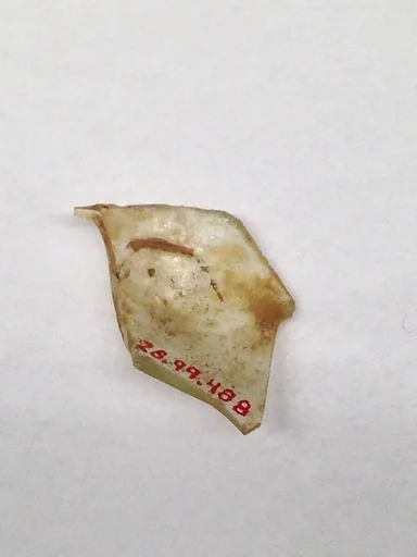 Fragment