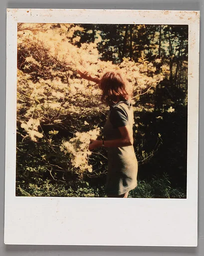 [Jane Corrigan Pruning a Tree]