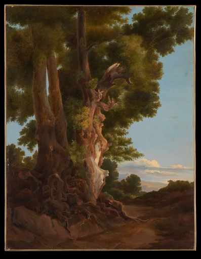 Blasted Tree