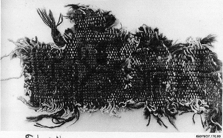 Carpet Fragment — Unknown
