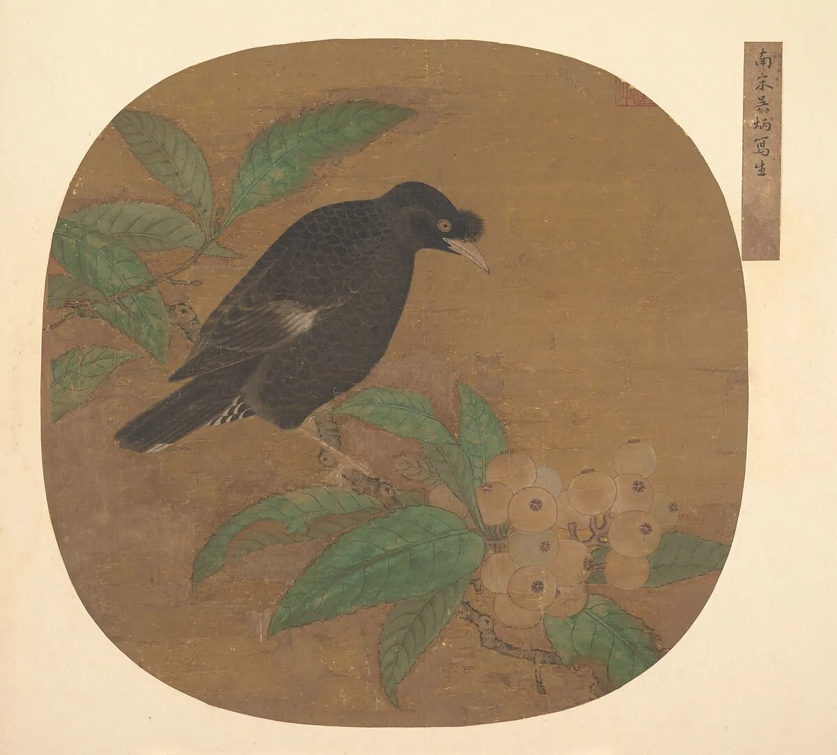 南宋?佚名 舊傳吳炳 枇杷八哥圖 團扇頁|Minah Bird on a Loquat Branch — Unidentified artist|Wu Bing