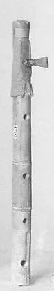 Tibia — Unknown